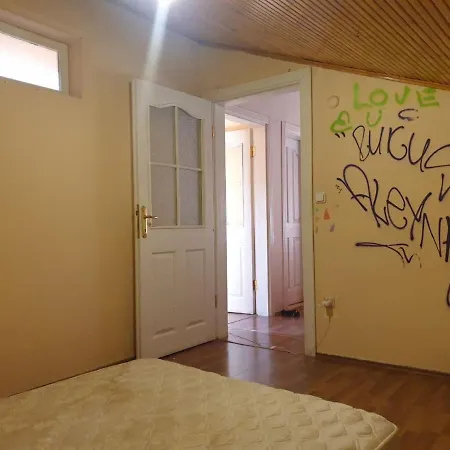 Wooden Attic Flat With Terace